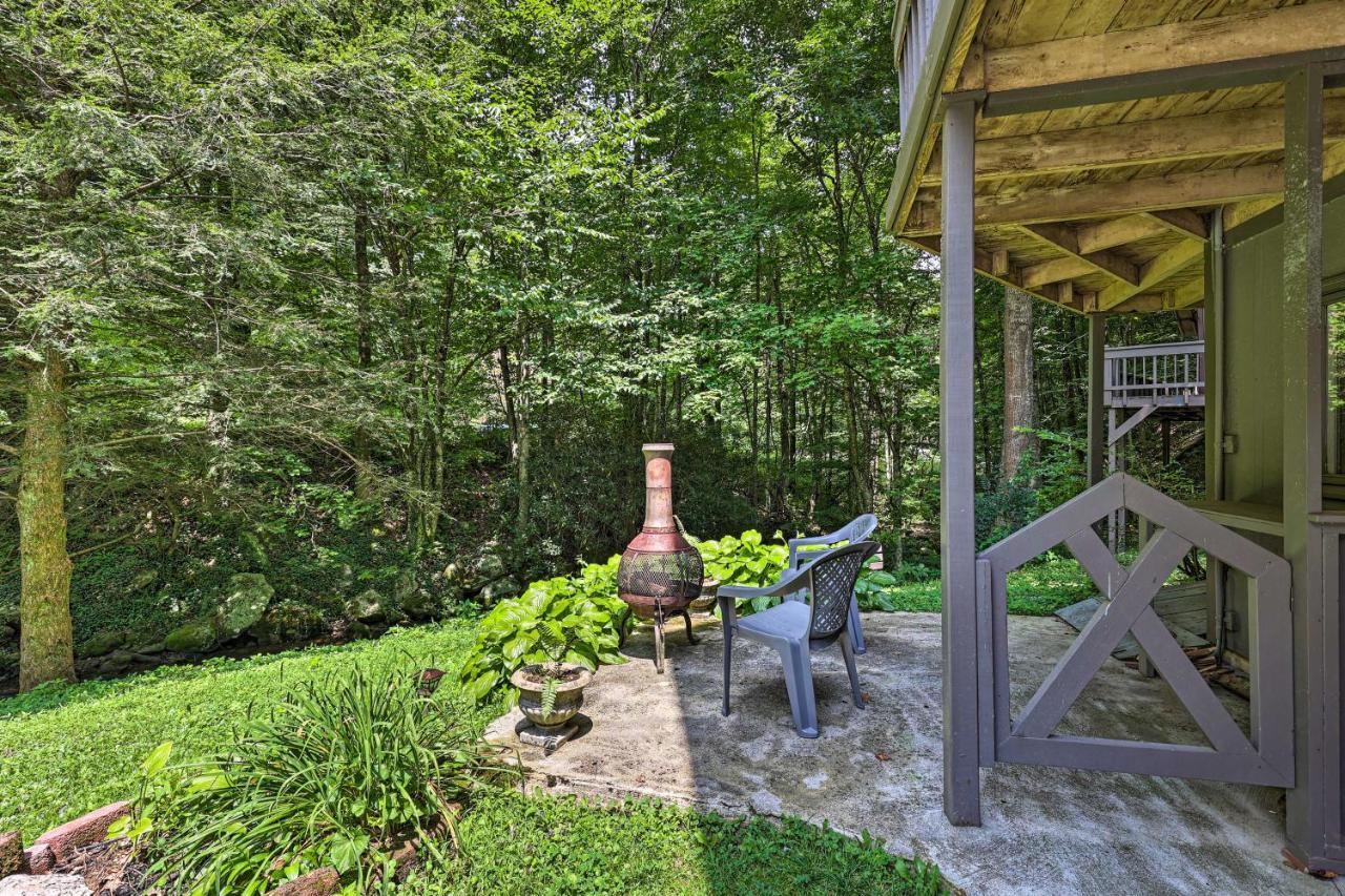 Creekside Roan Mountain Cabin Walk To Trails Exteriér fotografie
