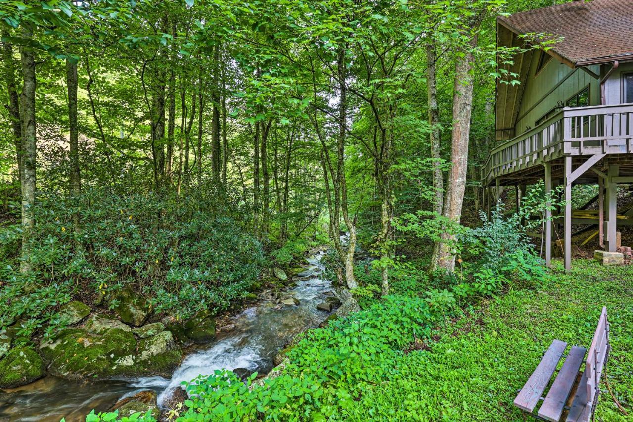 Creekside Roan Mountain Cabin Walk To Trails Exteriér fotografie