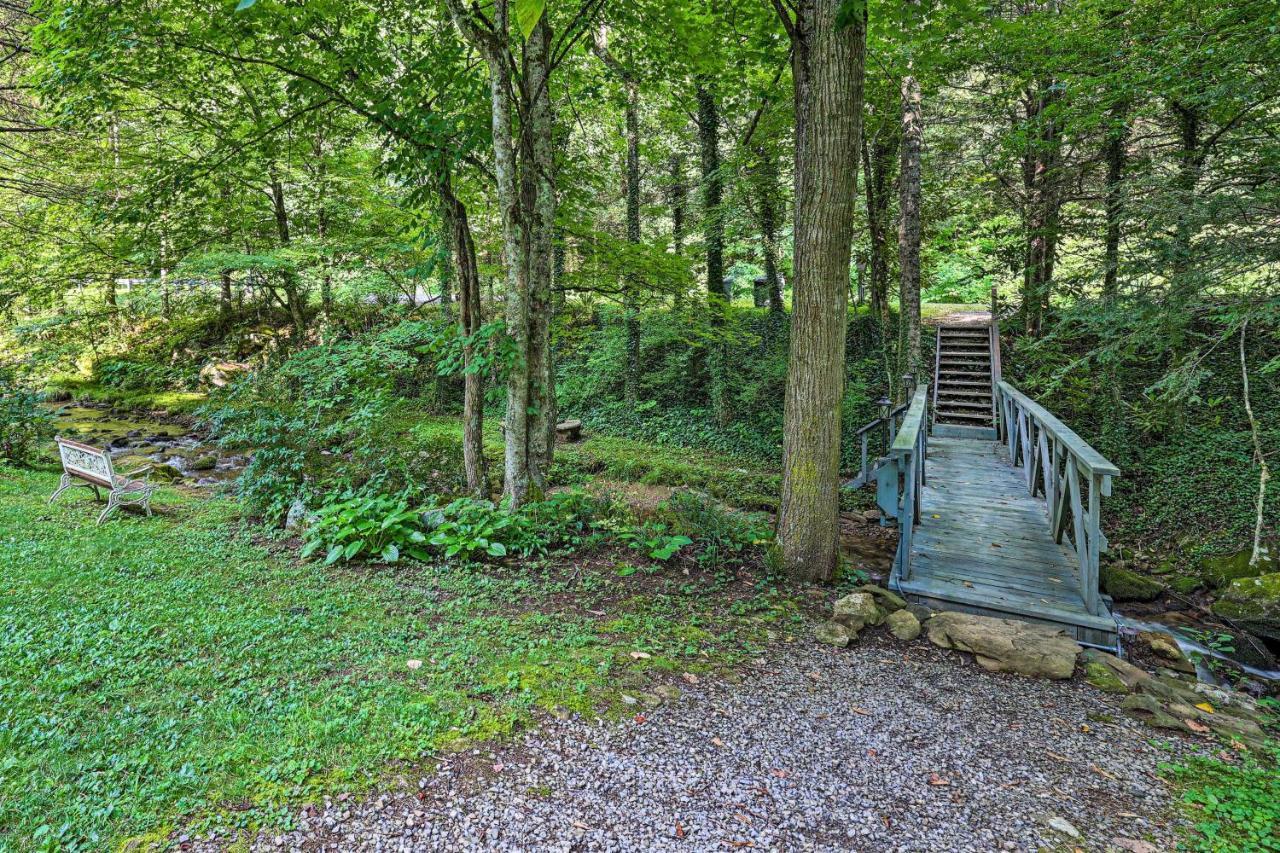 Creekside Roan Mountain Cabin Walk To Trails Exteriér fotografie