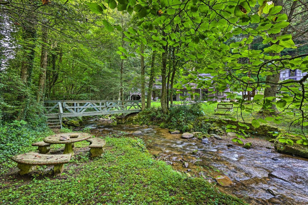 Creekside Roan Mountain Cabin Walk To Trails Exteriér fotografie