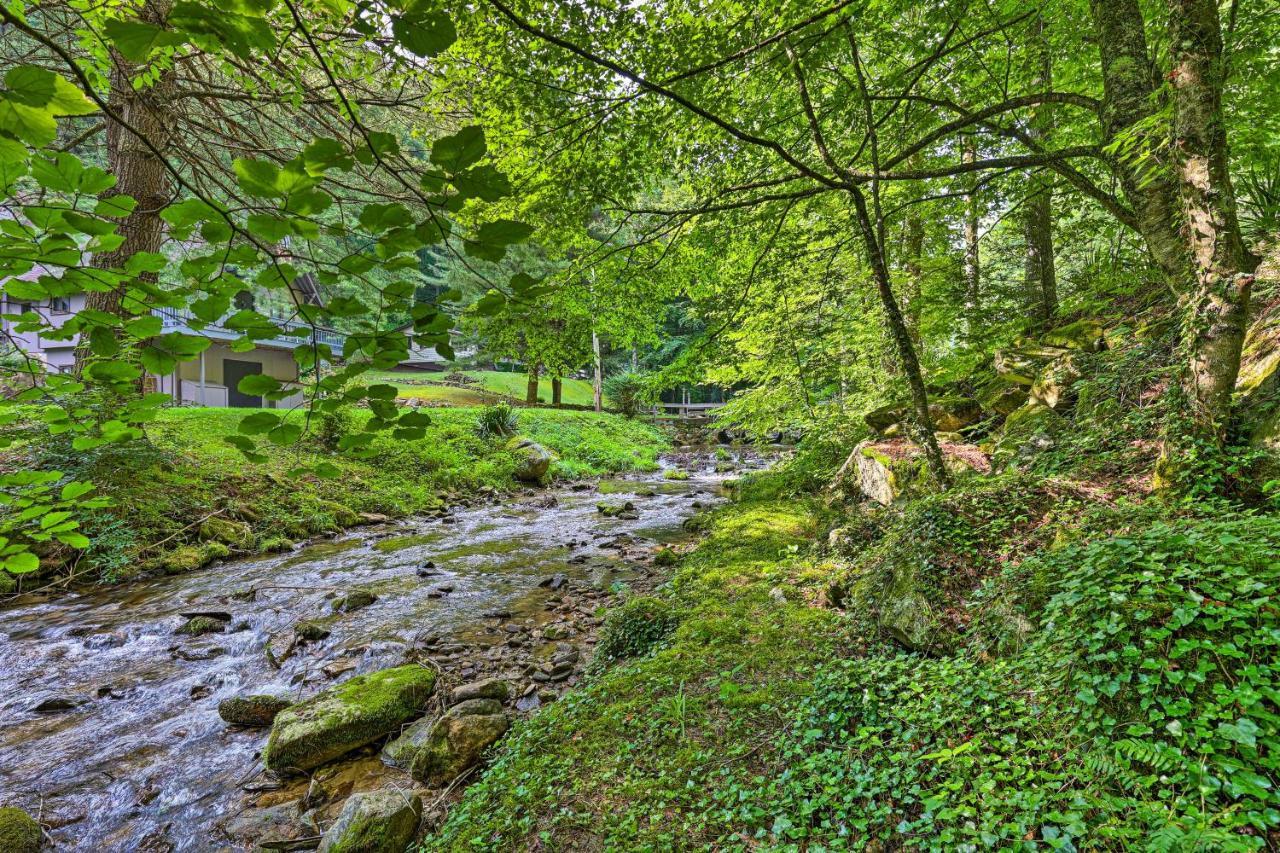 Creekside Roan Mountain Cabin Walk To Trails Exteriér fotografie